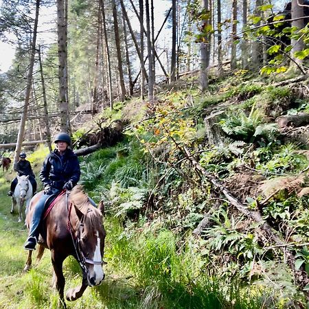 Scottish Equi B&B Lanark Eksteriør billede