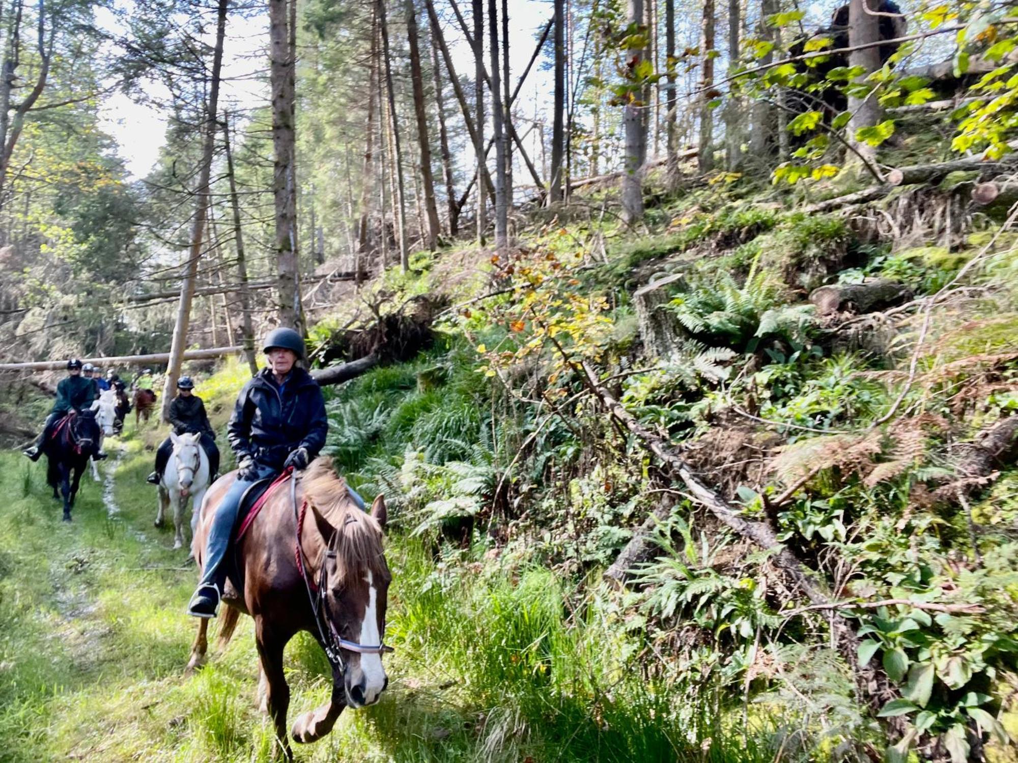 Scottish Equi B&B Lanark Eksteriør billede